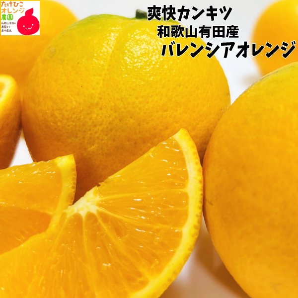 国産バレンシアオレンジ